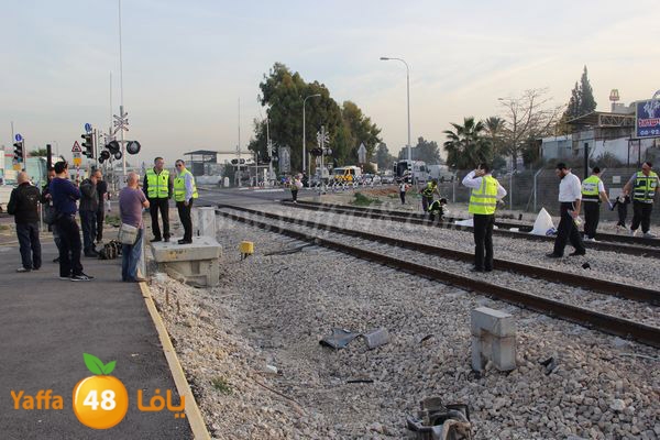 dahs lud 01121 (15).JPG